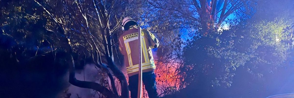FW Weinheim: Meterhohe Flammen am Hammerweg, Alarm im Minutentakt. Einsatzreiche Nacht für Weinheims Feuerwehr