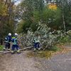 FW-EN: Umgestürzte Bäume auf Radweg