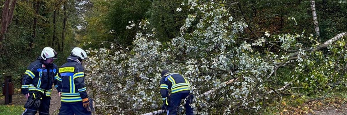 FW-EN: Umgestürzte Bäume auf Radweg
