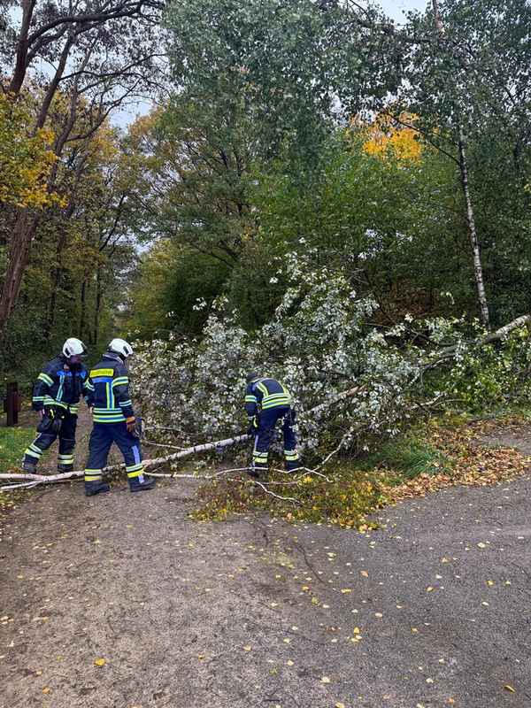 FW-EN: Umgestürzte Bäume auf Radweg