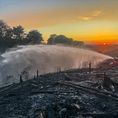 FW Kreis Soest: Waldbrand am Möhnesee - Lage auch nach Tag drei stabil