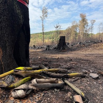 FW LK Neunkirchen: Waldbrand im Hosterwald: Einsatz nach 78 Stunden beendet