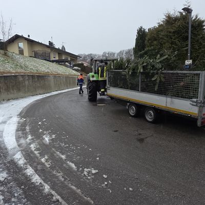 FW Weinheim: Hand in Hand durch Regen und Schnee. Jugendfeuerwehr sammelt Christbäume in den Weinheimer Ortsteilen