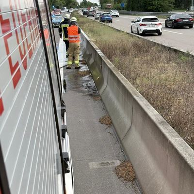FW Weinheim: Kleinbrand auf der A5 im Mittelstreifen schnell unter Kontrolle
