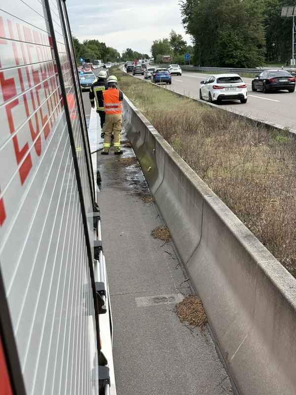 FW Weinheim: Kleinbrand auf der A5 im Mittelstreifen schnell unter Kontrolle