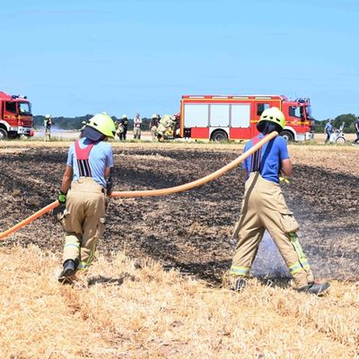 FW Pulheim: Sinnersdorf: Feldbrand konnte mit vereinten Kräften zügig gelöscht werden