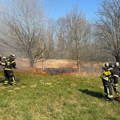 FW-DO: Vegetationsbrand im Naherholungsgebiet Kurler Busch