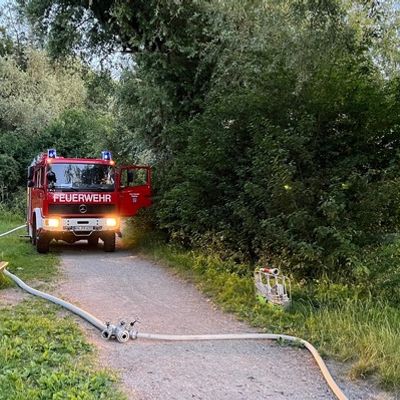 FW Reichenau: Brennender Baum konnte gelöscht werden, 20.06.2024, Reichenau-Mittelzell