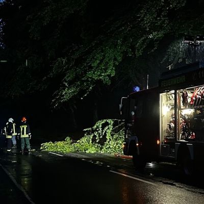 FW-AUR: Äste im Egelser Wald herabgestürzt