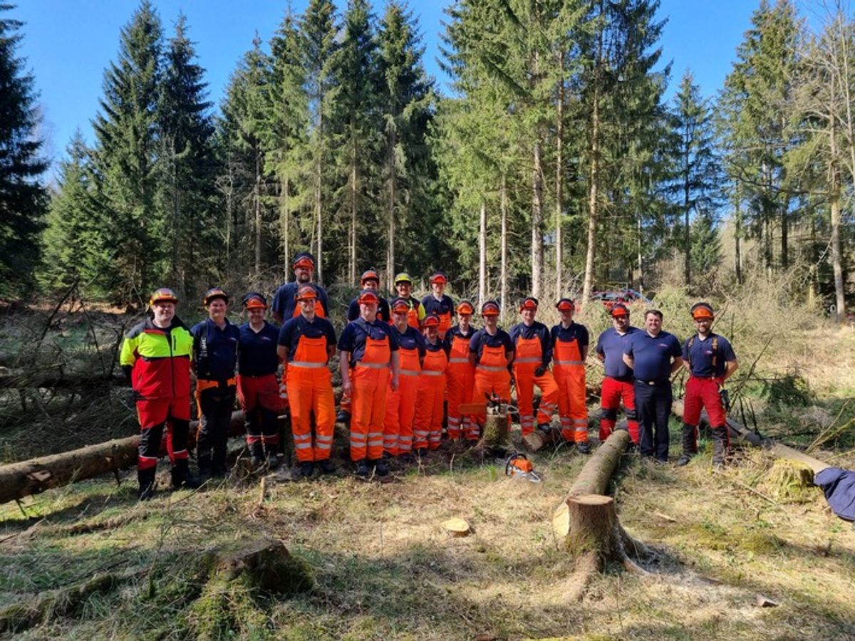 Kettensägenlehrgang (Modul A+B) – Motorsägenführerschein