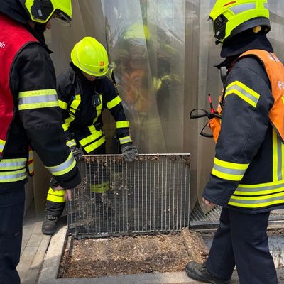 Feuerwehr MTK: Drei Einsätze an einem Tag: Gebäudebrand, Tierrettung und Aufzugsrettung
