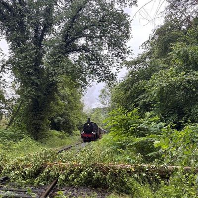 FW-EN: Umgestürzter Baum stoppt Museumszug - Feuerwehr Hattingen im Einsatz