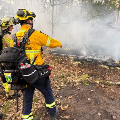 FW-GLA: Feuerwehr Gladbeck nimmt an Waldbrandübung im Waldgebiet Haard teil