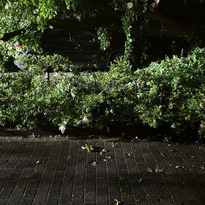 FW Paderborn: Unwetterlage sorgt bei der Feuerwehr Paderborn für ein erhöhtes Einsatzaufkommen