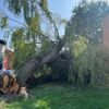 FW-BN: Sturmschaden - Baumstamm verfehlt Mehrfamilienhaus nur knapp