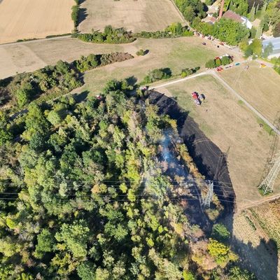 Feuerwehr MTK: Großeinsatz bei Vegetationsbrand in Hattersheim: Mehr als 200 Einsatzkräfte bekämpfen ausgedehnten Wiesen- und Waldbrand - umfangreiche Nachlöscharbeiten dauern an