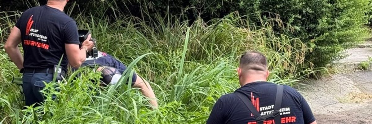 Feuerwehr MTK: Drei Einsätze an einem Tag: Gebäudebrand, Tierrettung und Aufzugsrettung