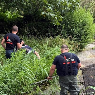 Feuerwehr MTK: Drei Einsätze an einem Tag: Gebäudebrand, Tierrettung und Aufzugsrettung