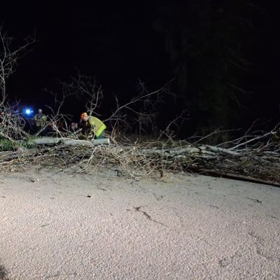 FW Weinheim: Feuerwehr Weinheim auch über die Weihnachtstage im Einsatz