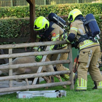 FW-KLE: "Grenzenloses Wasser" - Deutsch-niederländische Feuerwehrübung im Tiergarten Kleve stärkt Zusammenarbeit über Ländergrenzen hinweg