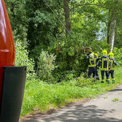 FW Flotwedel: Baum blockiert Fahrbahn und Telefonleitung im Lütersweg