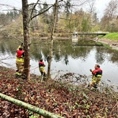 FW Stuttgart: Tierrettung durch die Wasserrettungseinheit - Strömungsretter der Feuerwehr im Einsatz - Kauz gerettet und dem Tiernotdienst übergeben