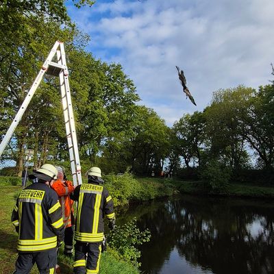 FFW Schiffdorf: Feuerwehr rettet Vogel aus misslicher Lage