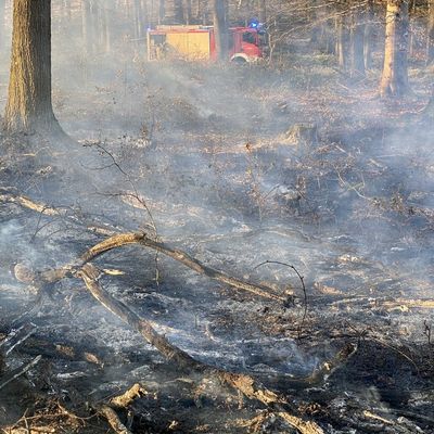FW-MK: Waldbrand in Letmathe