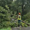 FW-AUR: Baum stürzt auf Telefonleitung und Fahrbahn