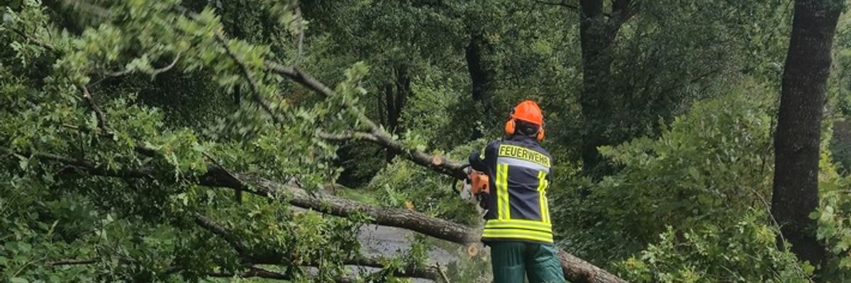 FW-AUR: Baum stürzt auf Telefonleitung und Fahrbahn