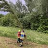 FW Reichenau: Baum droht auf Fahrbahn zu stürzen, Reichenauer Alleenstrasse L221 , 04.06.2025