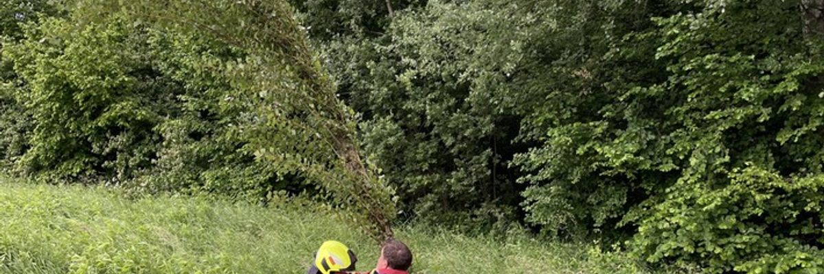 FW Reichenau: Baum droht auf Fahrbahn zu stürzen, Reichenauer Alleenstrasse L221 , 04.06.2025