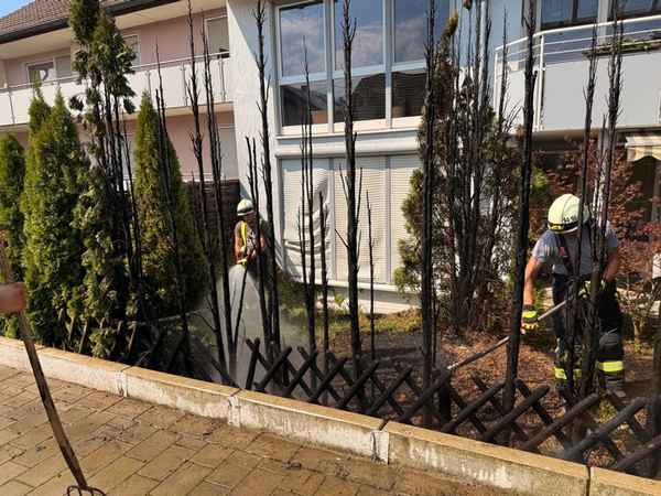 FW Stockach: Brand einer Gartenhecke