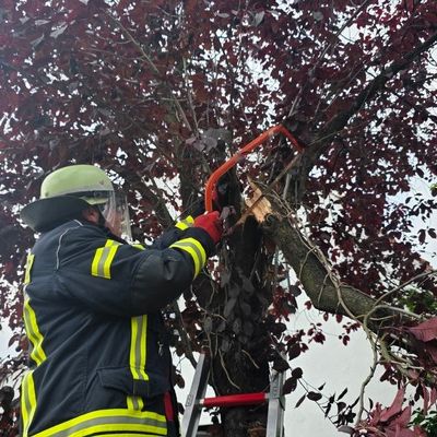 FW Celle: Wetterbedingte Einsätze am Donnerstag
