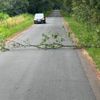 FW Hünxe: Baum auf Fahrbahn