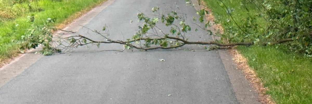 FW Hünxe: Baum auf Fahrbahn