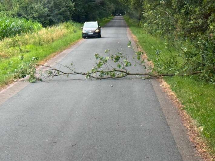 FW Hünxe: Baum auf Fahrbahn