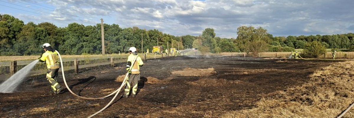 FW Hünxe: Flächenbrand und Paralleleinsatz aufgrund von verdächtigem Rauch