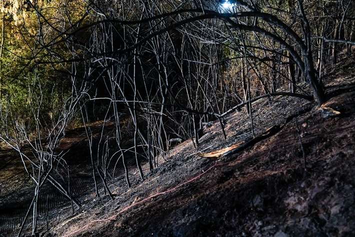Feuerwehr MTK: Vegetationsbrand in Hattersheim nach rund 18 Stunden beendet - Brandwache musste in der Nacht weitere Brandnester ablöschen