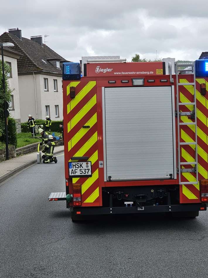 FW-AR: Feuerwehr rettet vier Katzen aus brennender Wohnung