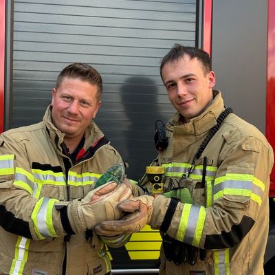 FW Konstanz: Feuerwehr rettet Chamäleon aus Baum