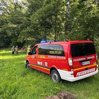 FW Weinheim: Arbeitsunfall im Wald Feuerwehr und Rettungsdienst retten verletzte Person aus unwegsamem Gelände