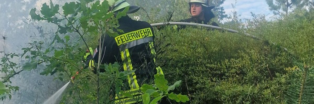 FW Celle: Zwei Vegetationsbrände in der Witzlebenstraße