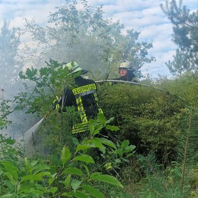 FW Celle: Zwei Vegetationsbrände in der Witzlebenstraße