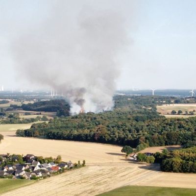 FW Sonsbeck: Aufräumarbeiten Waldbrand Labbeck