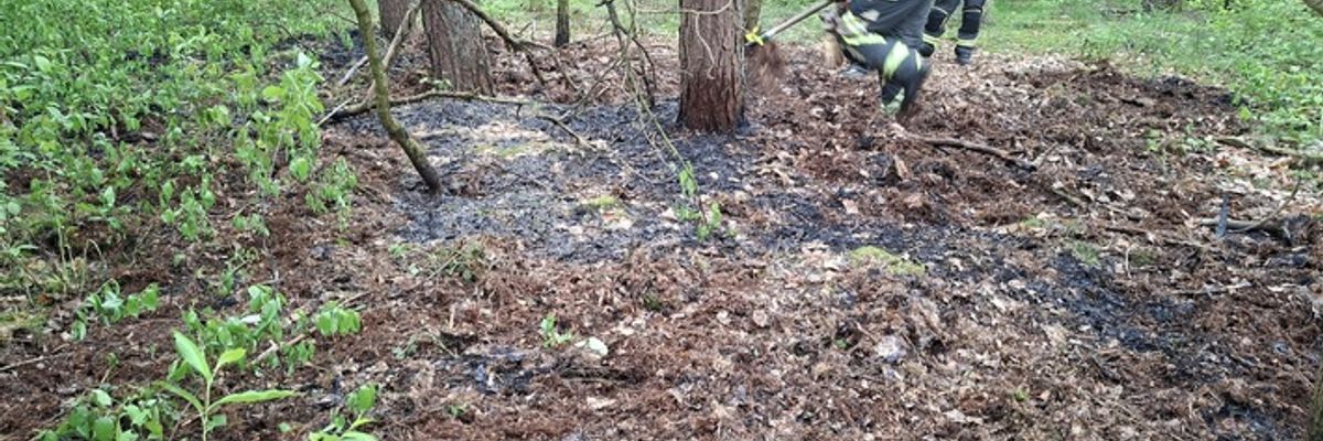 FW Hünxe: Vegetationsbrand in Drevenack