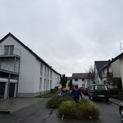 FW Weinheim: Hand in Hand durch Regen und Schnee. Jugendfeuerwehr sammelt Christbäume in den Weinheimer Ortsteilen