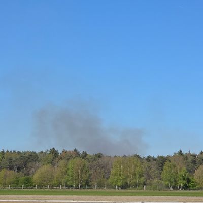 FW-SE: Anzahl der Vegetationsbrände steigt