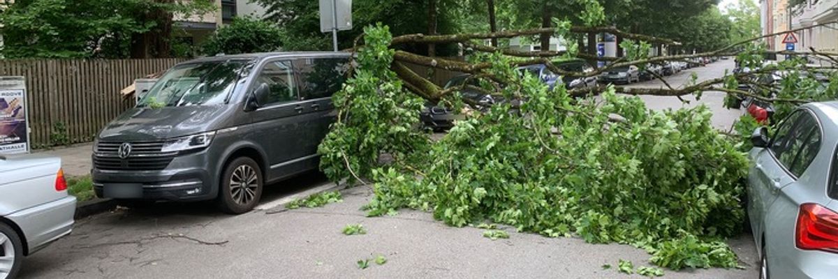 FW-M: Herabfallender Ast beschädigt mehrere Fahrzeuge (Neuhausen)