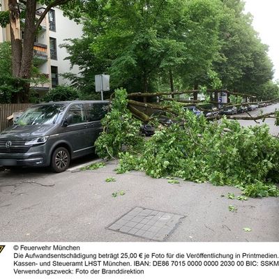 FW-M: Herabfallender Ast beschädigt mehrere Fahrzeuge (Neuhausen)